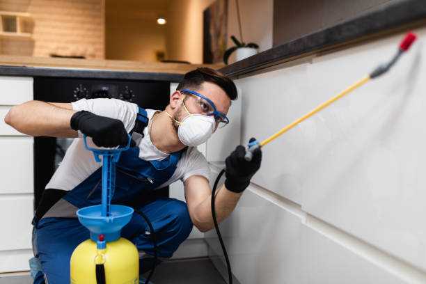 Best Exterminator Services  in Alamo, GA