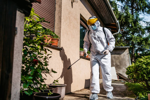 Best Residential Pest Control  in Alamo, GA