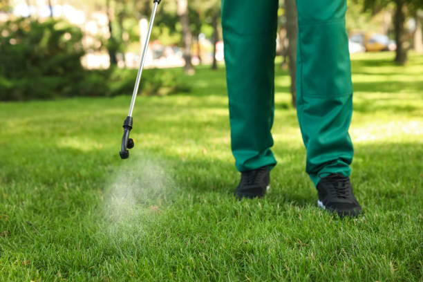 Best Pest Removal Services  in Alamo, GA