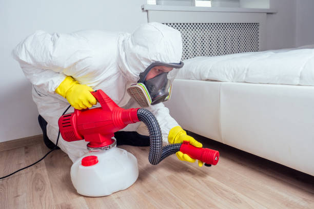 Best Local Pest Control Services  in Alamo, GA