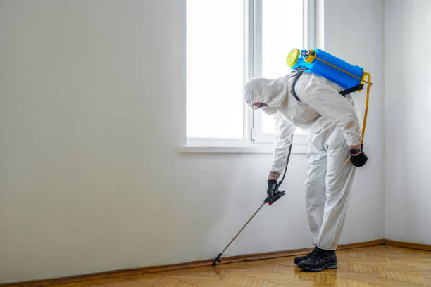 Best Best Pest Control Companies  in Alamo, GA