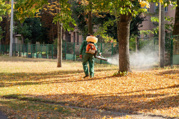 Best Pest Control Near Me  in Alamo, GA